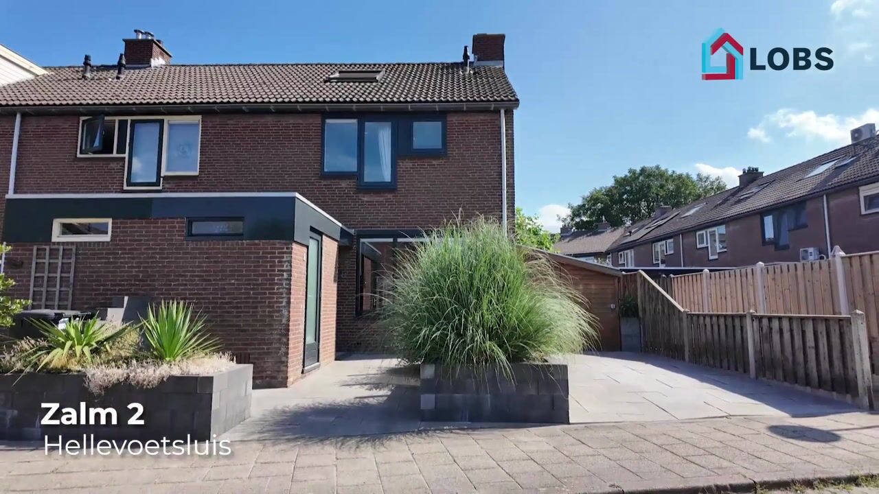 Video van Zalm 2