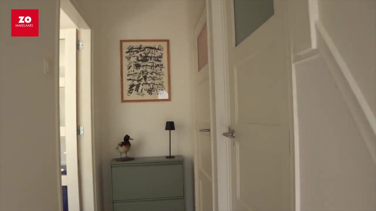 Video van Prinses Beatrixstraat 10