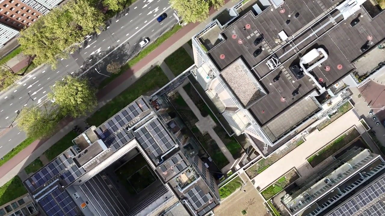 Video van Stadhoudersplantsoen 258