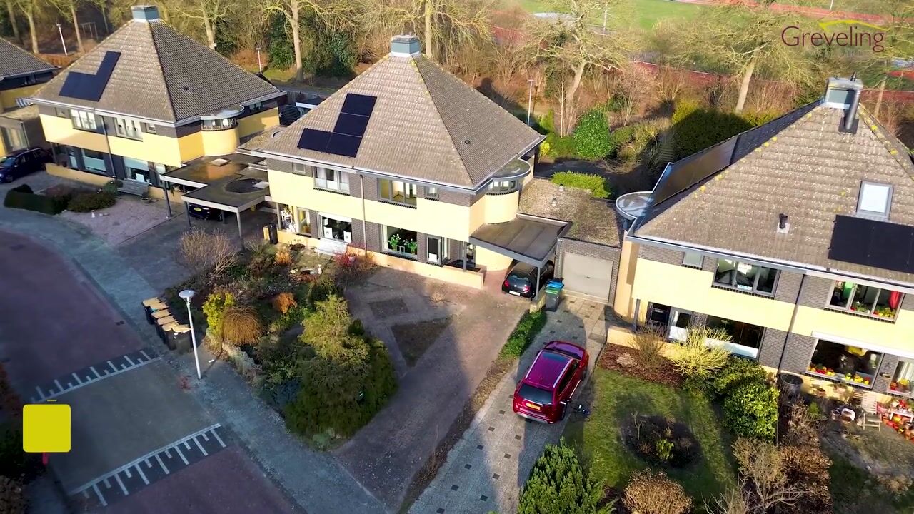 Video of De wiezeboom 55