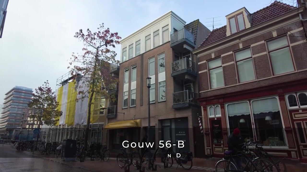 Video of Gouw 56-B