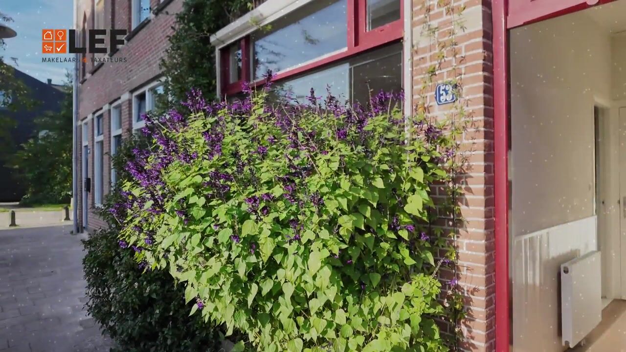 Video van Knopstraat 53
