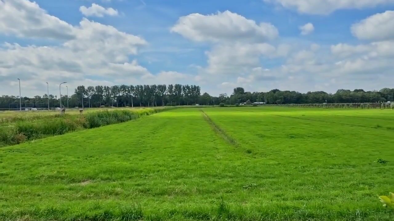 Video of Kwadijk 41