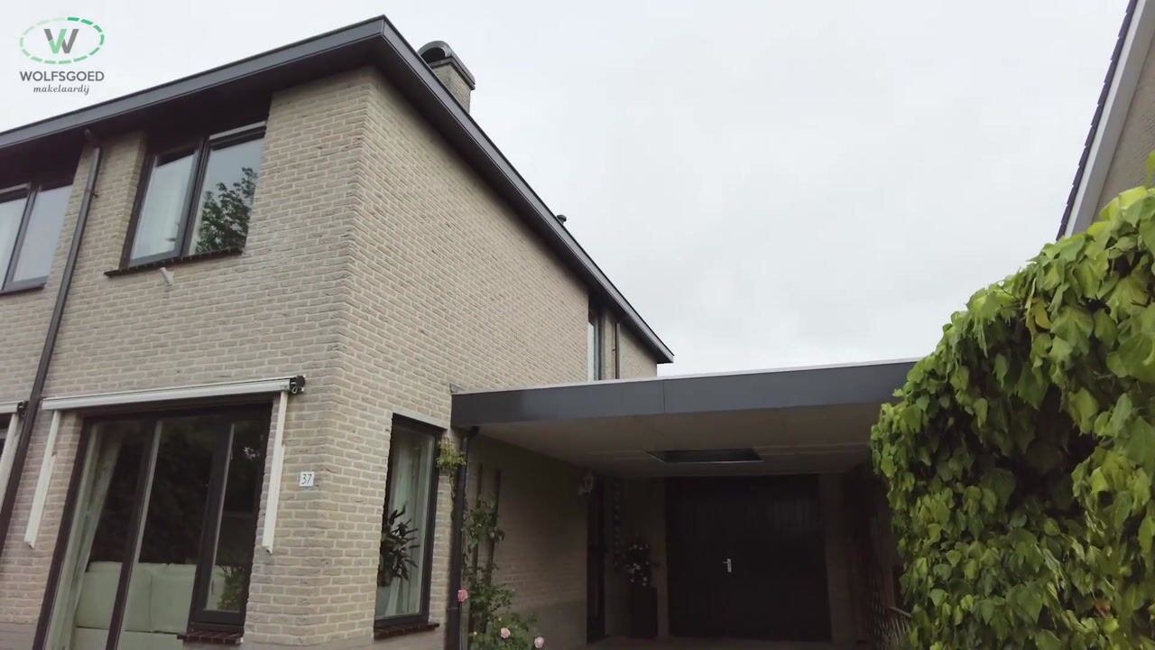 Video of Vogelwikke 37