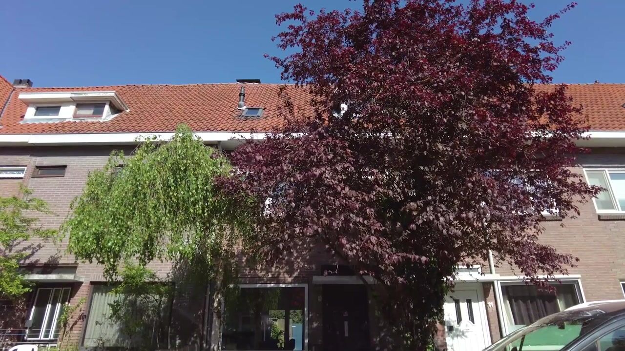 Video van Wilgenroosstraat 9