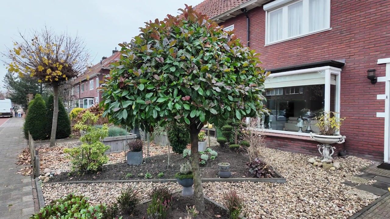 Video of Mr. P.J. Troelstrastraat 20