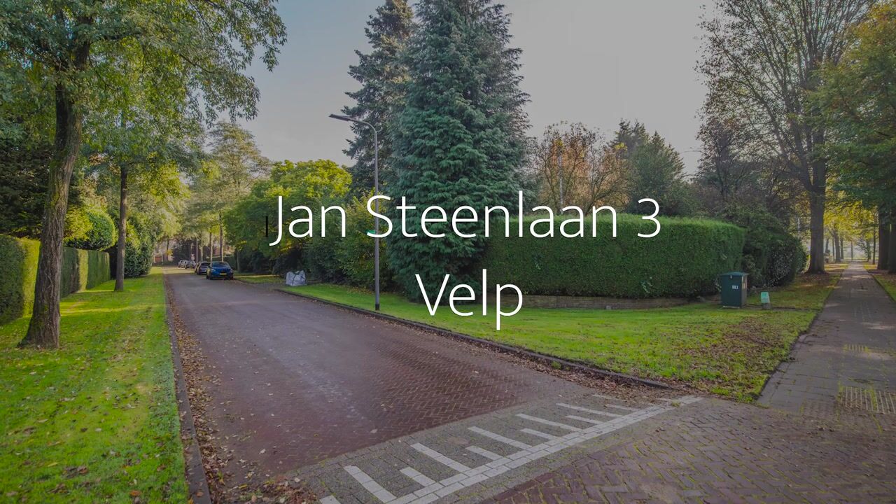 Bekijk video van Jan Steenlaan 3