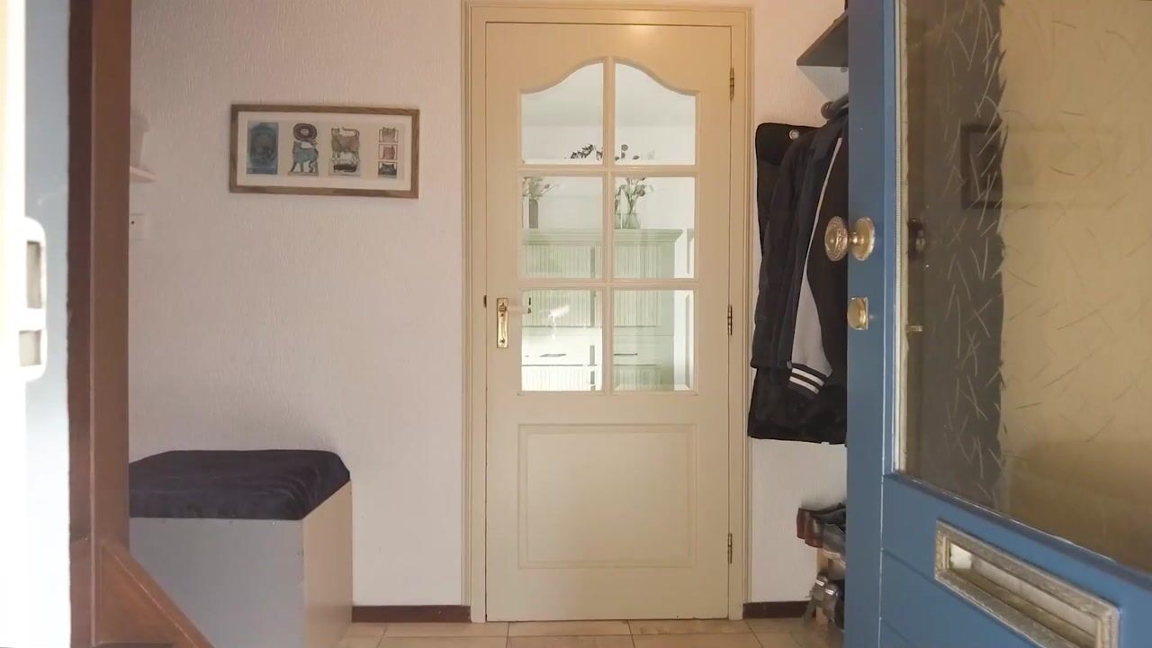 Video van Hamsterweide 22