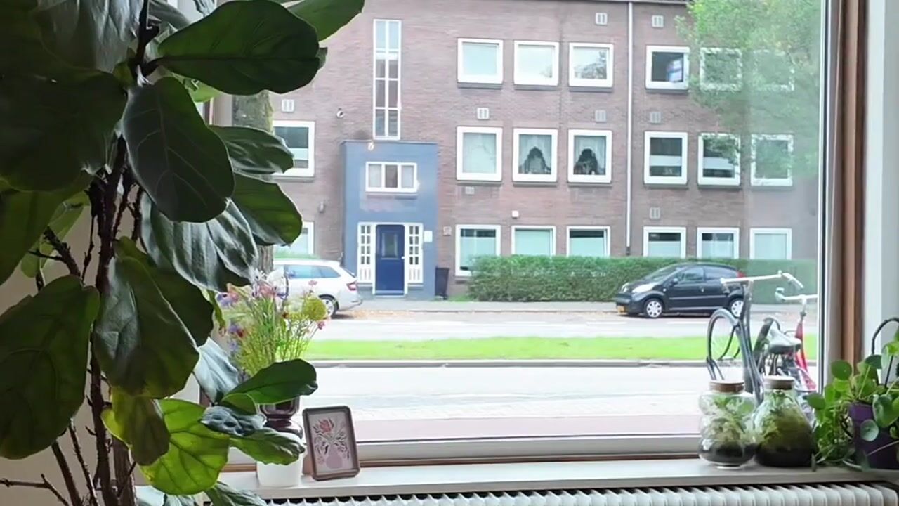 Video van Oudenoord 425