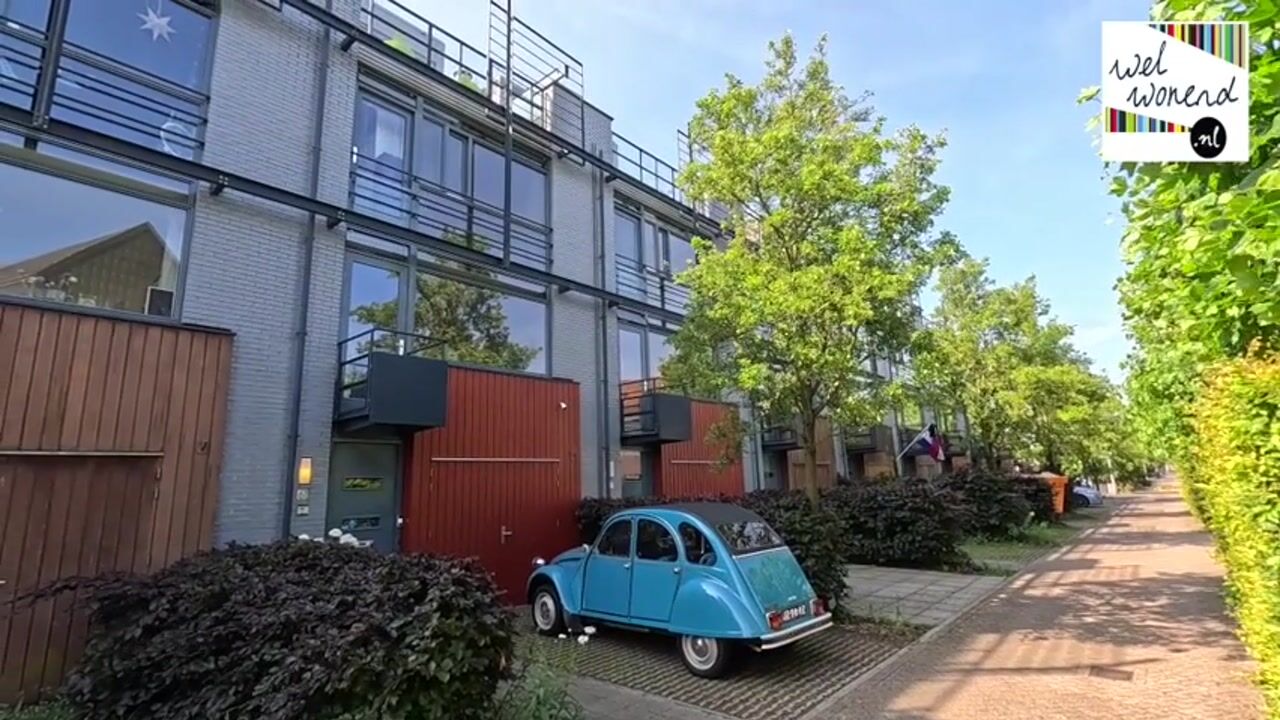 Video van Weerschijnvlinder 61