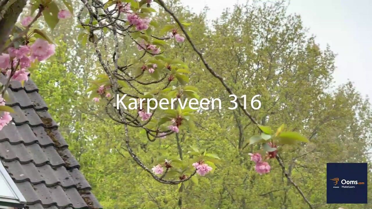 Video van Karperveen 316
