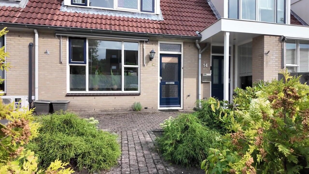 Video van Walstein 16