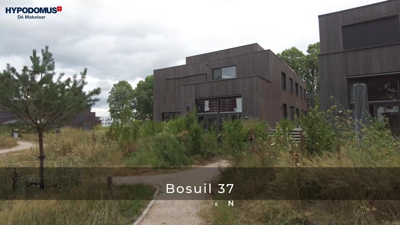 Video van Bosuil 37