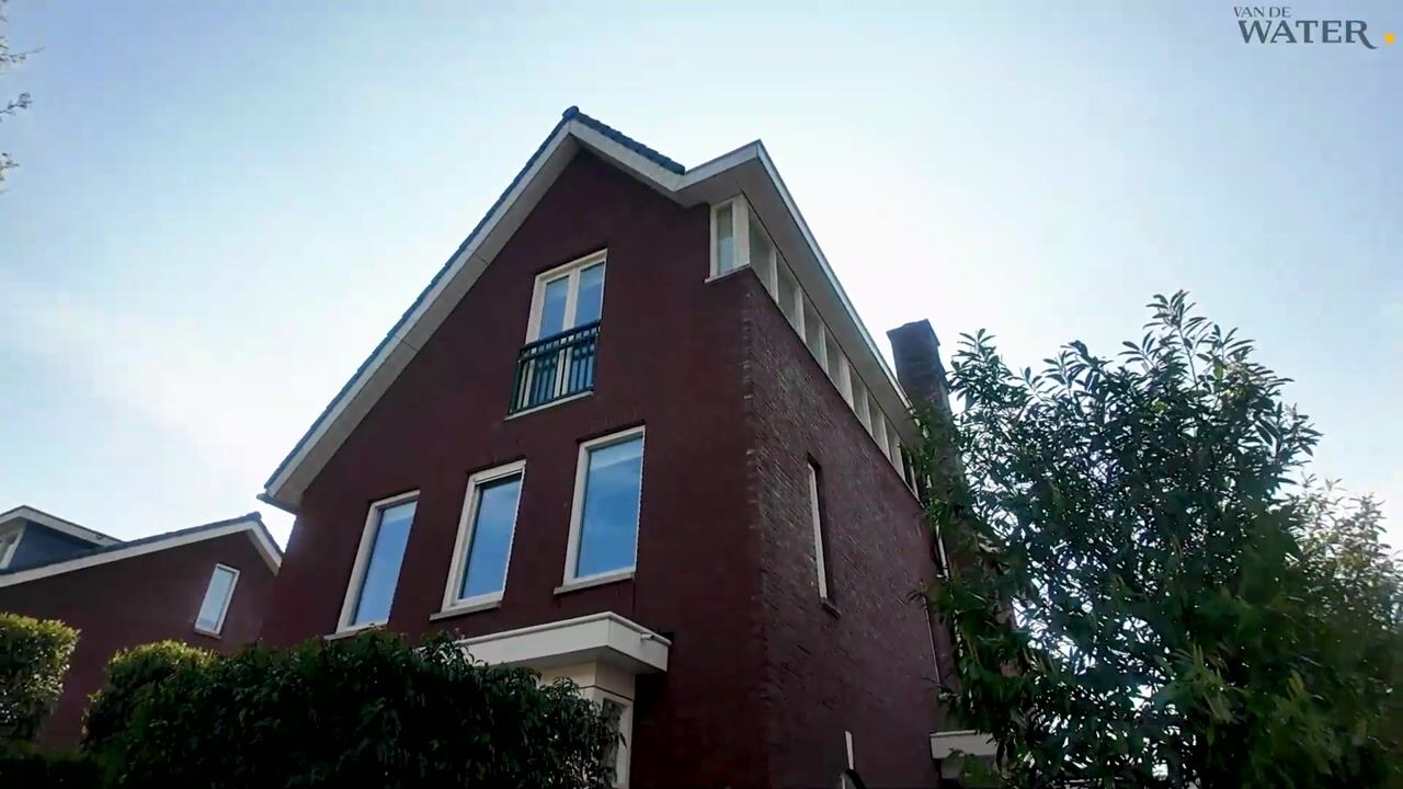 Video van Koolwitje 2