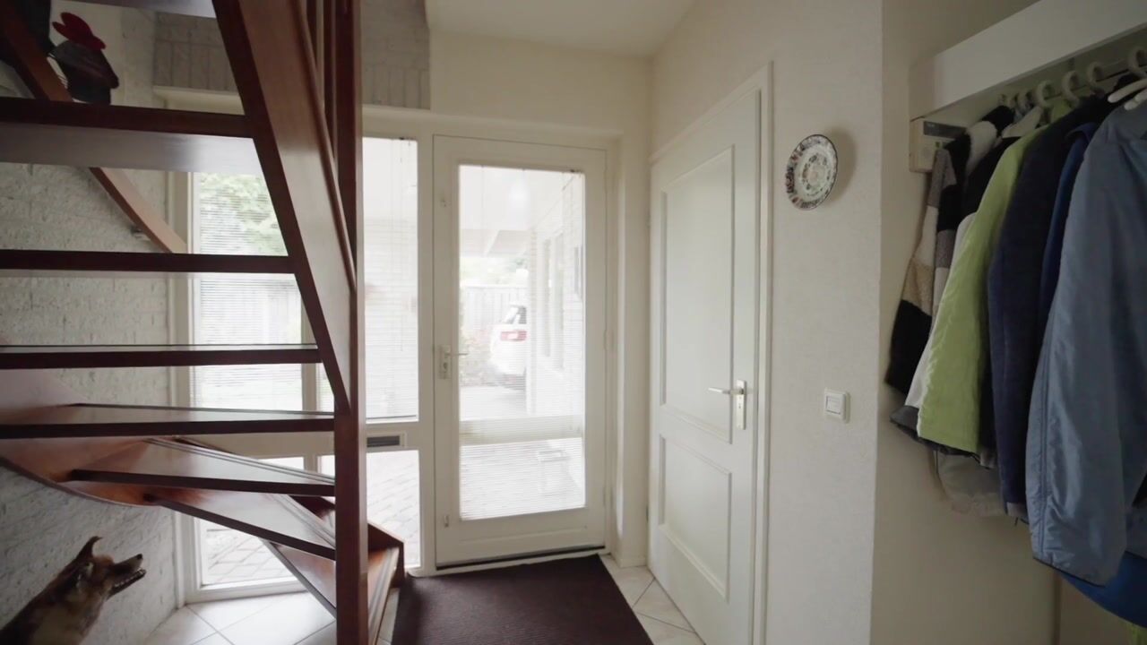 Video van Stellingwerf 11