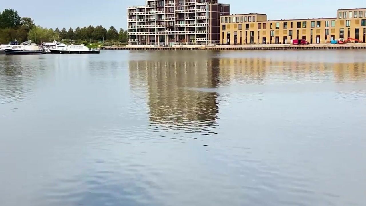 Video van Waterfront 37
