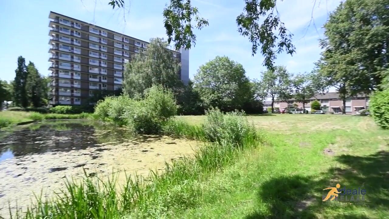 Video van Antwerpenstraat 28
