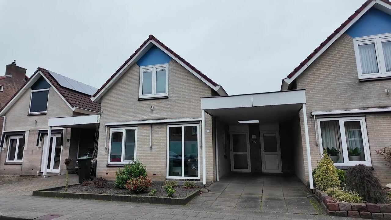 Video of de Braak 14