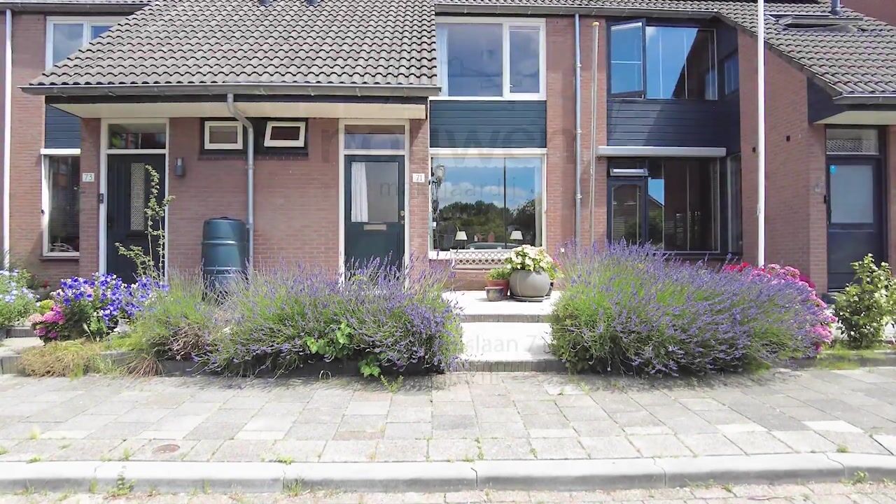 Video van Groenekruislaan 71