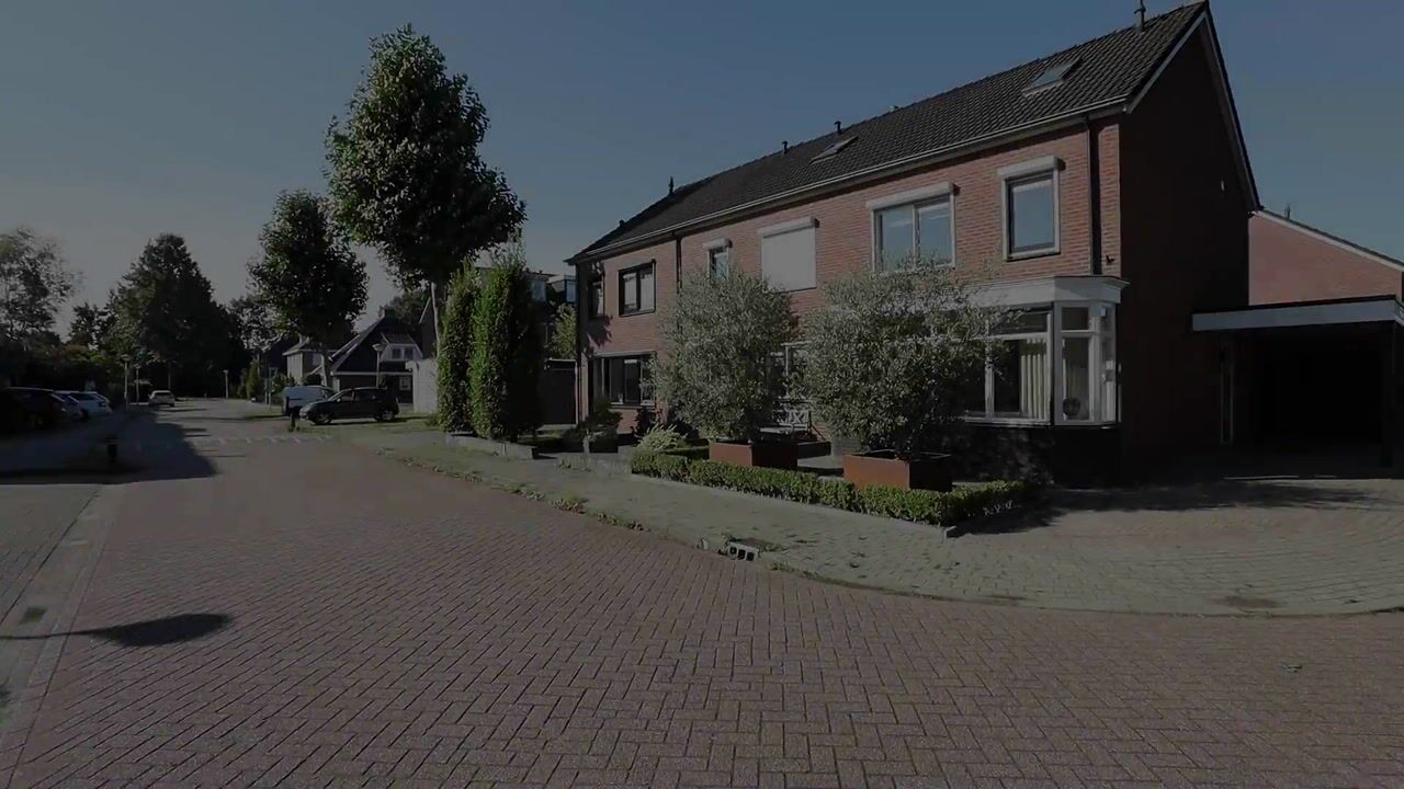 Video of Spade 18