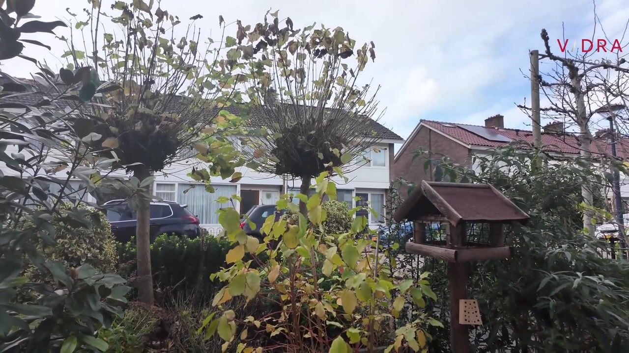 Video of Tyrasstraat 6