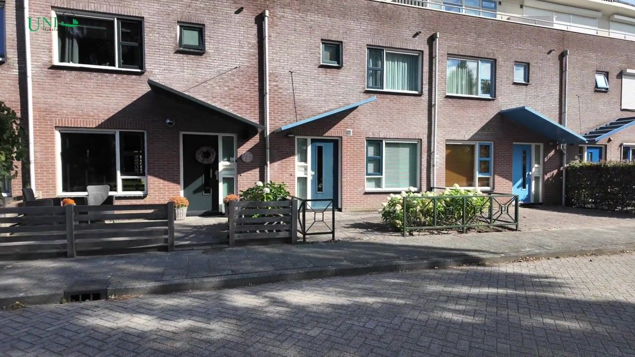 Video of Steenbreek 61