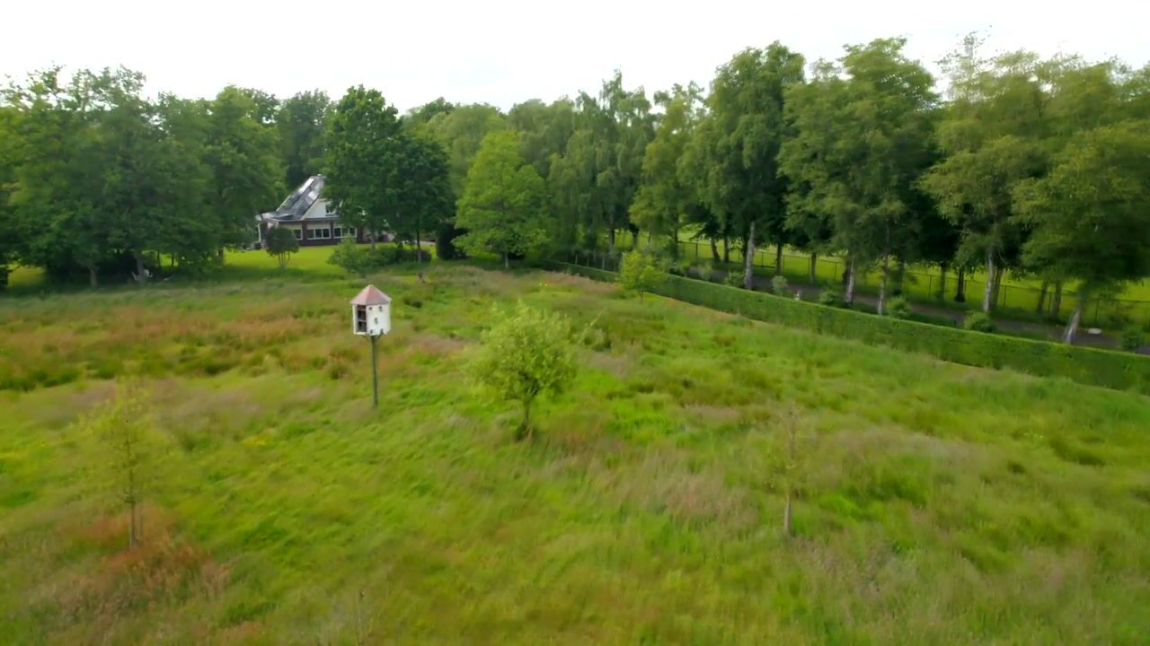 Video van Veenweg 29