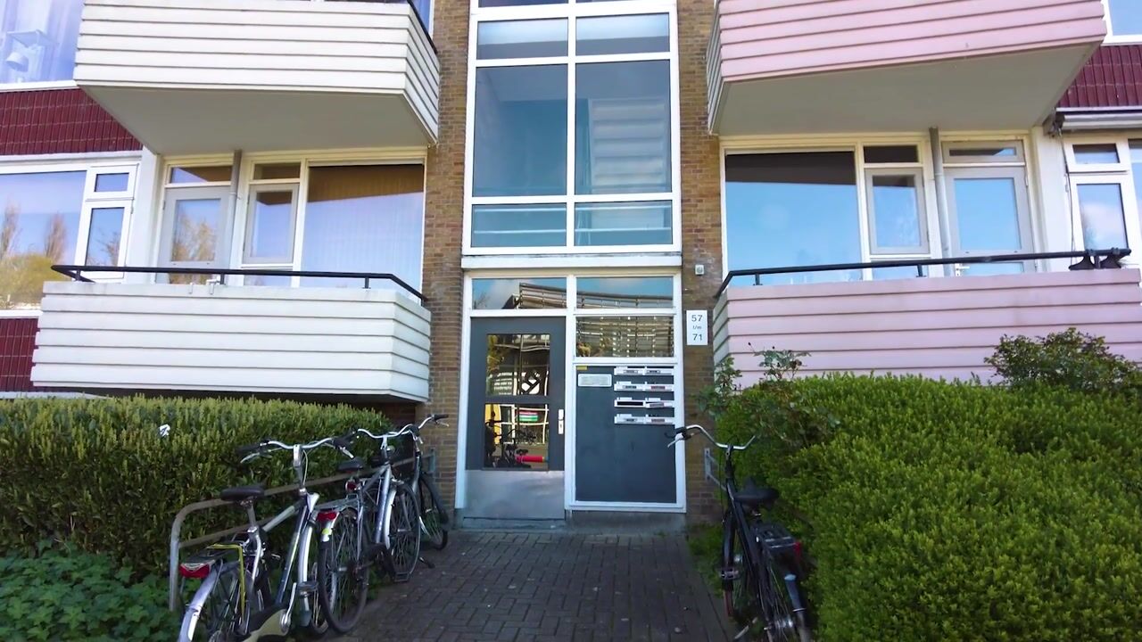 Video of Adriaan van Ostadestraat 65