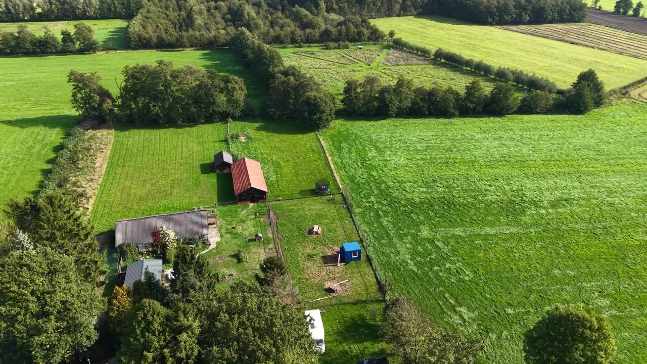 Video of De Trije Roeden 2