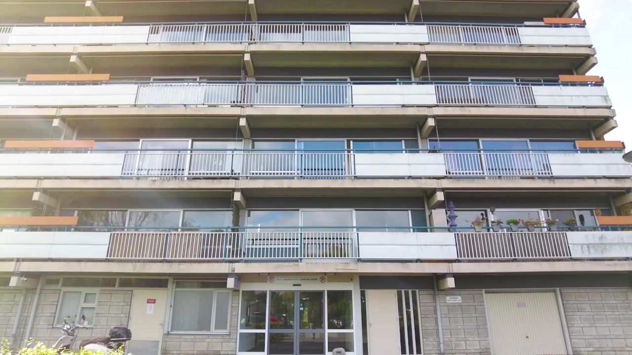 Video of Aalscholversingel 222