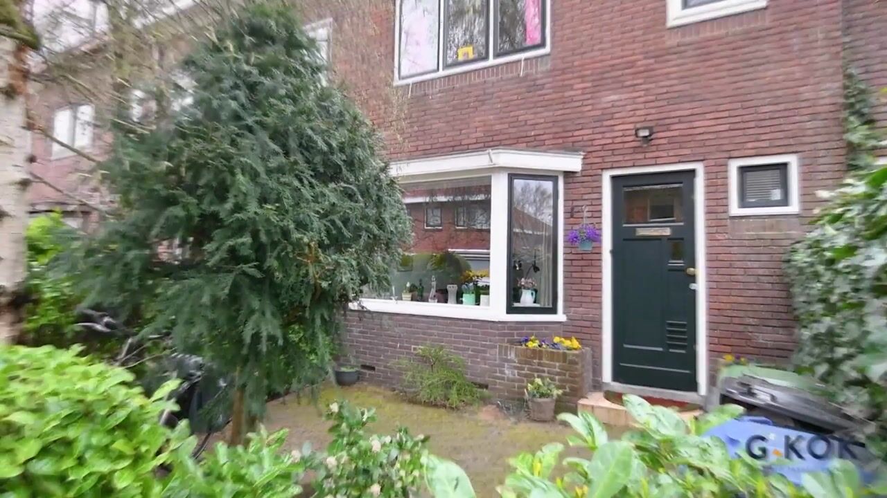 Video van Borchsatelaan 104
