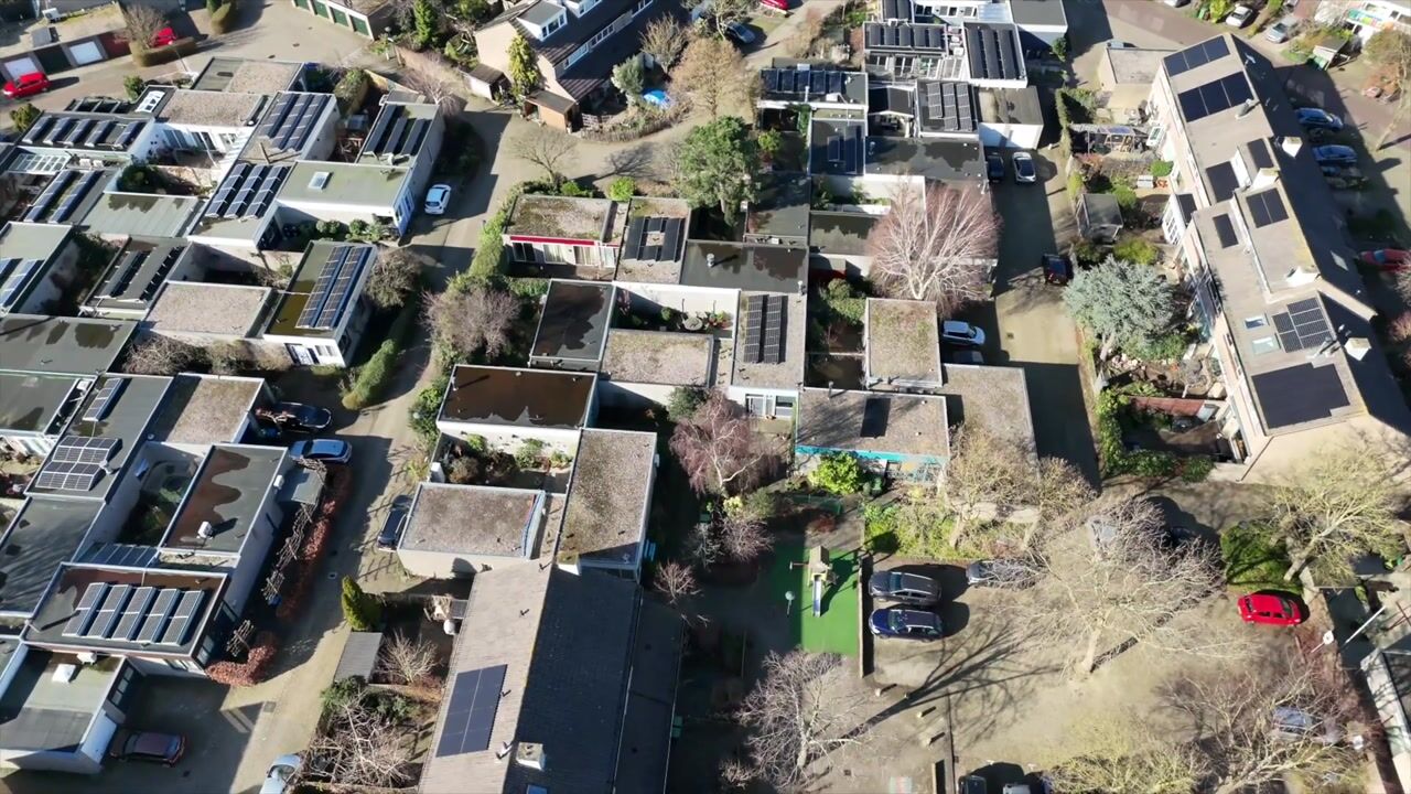 Video of Atlasvlinder 6