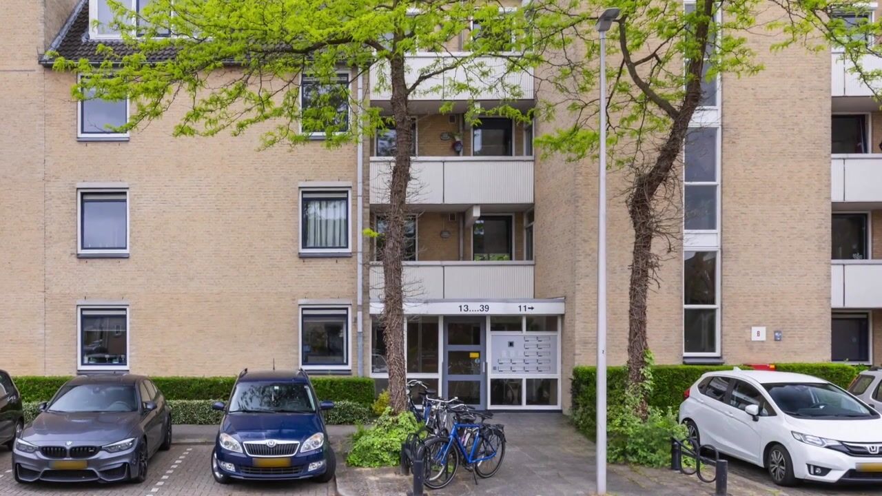 Video of Zeeltstraat 31