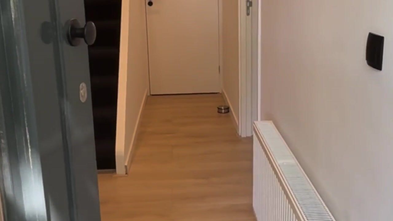 Video van Willem Lodewijkstraat 145