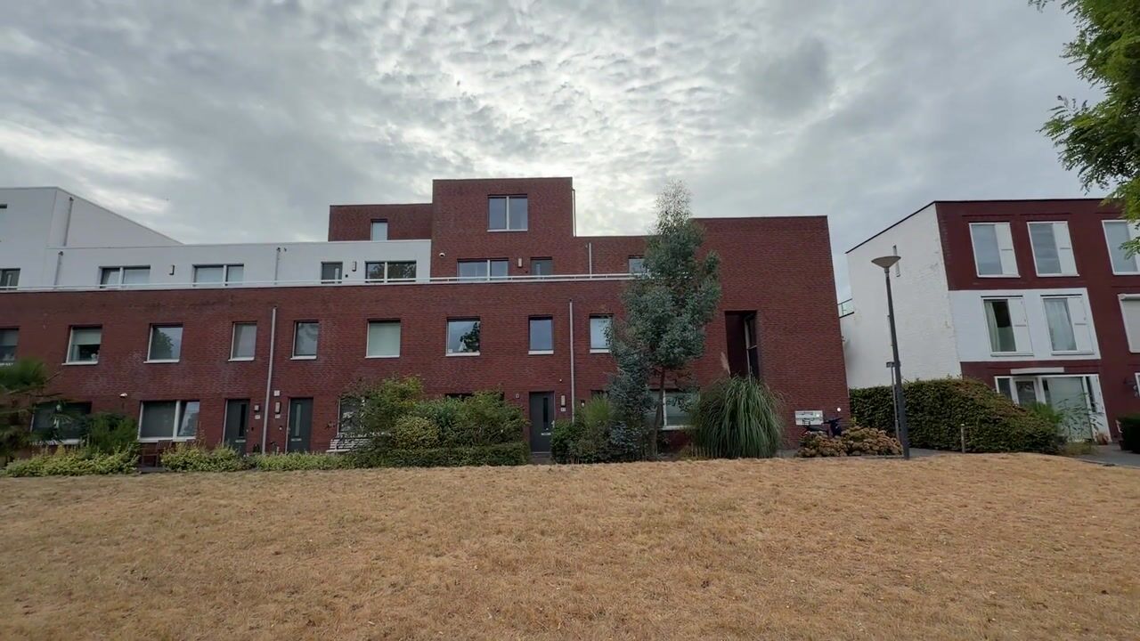 Video of Korfoepad 81