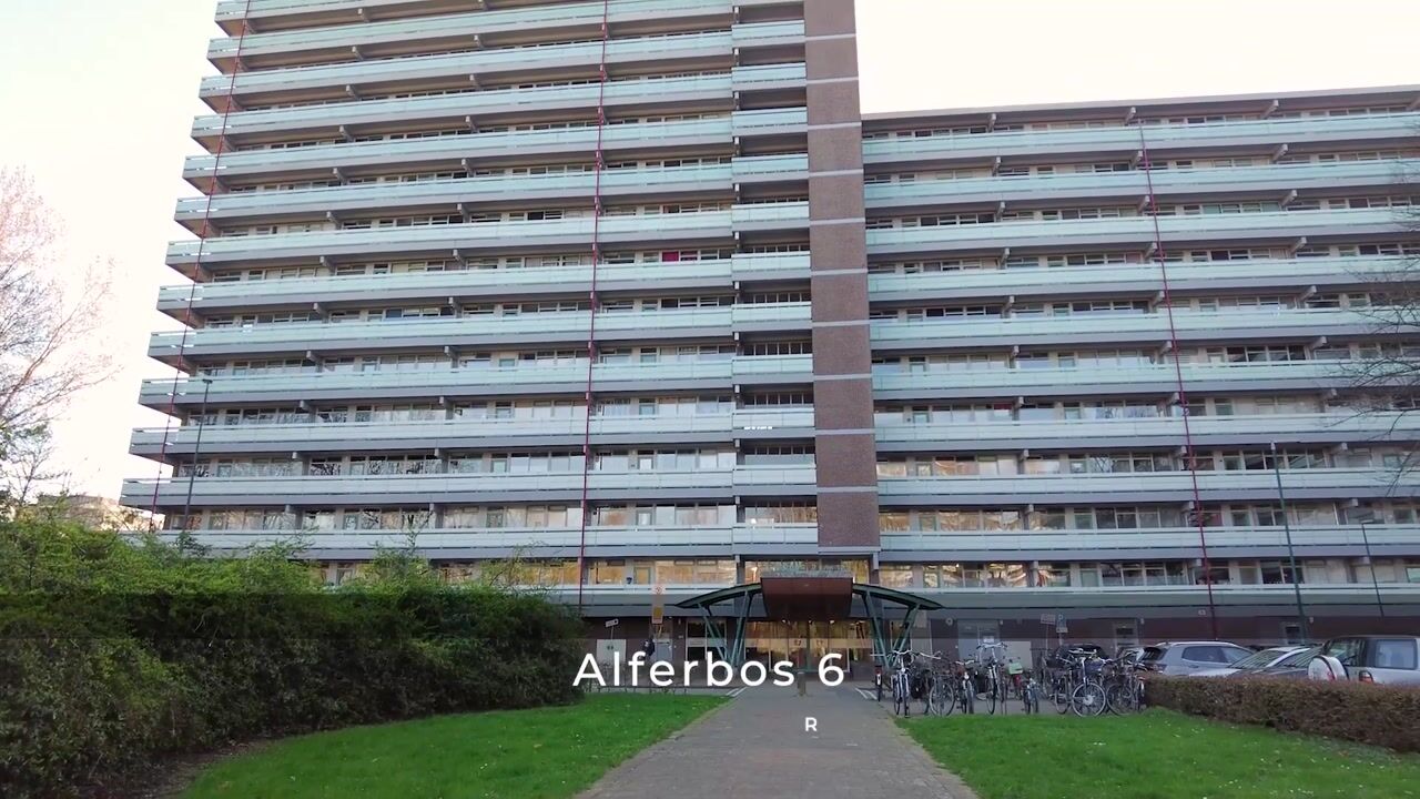 Video of Alferbos 6