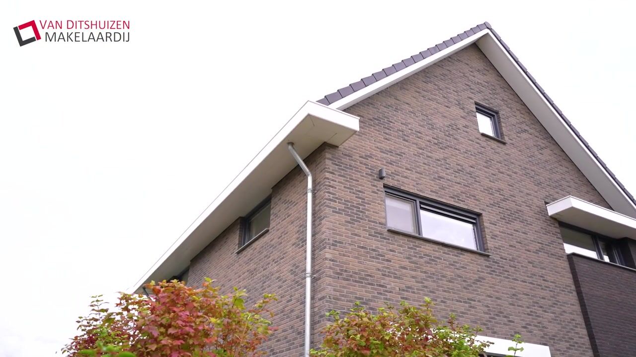 Video of Havixhorst 15