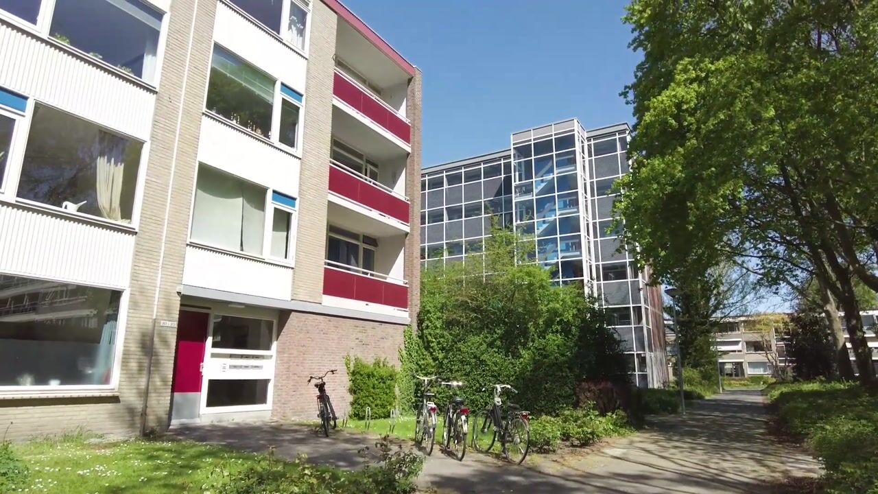 Video van Plutolaan 367