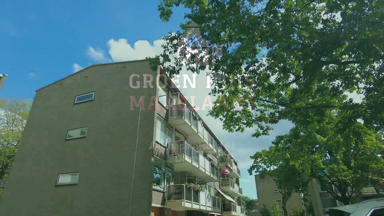 Video of Julianaplantsoen 61