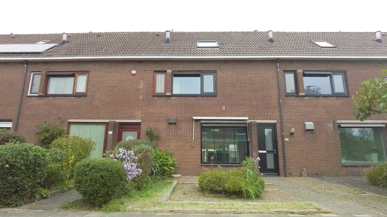Video of Kinheim 369