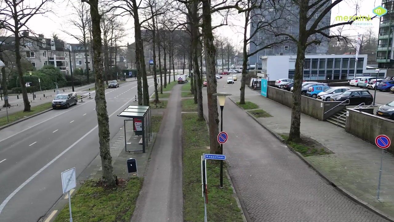 Video of Loolaan 41-70