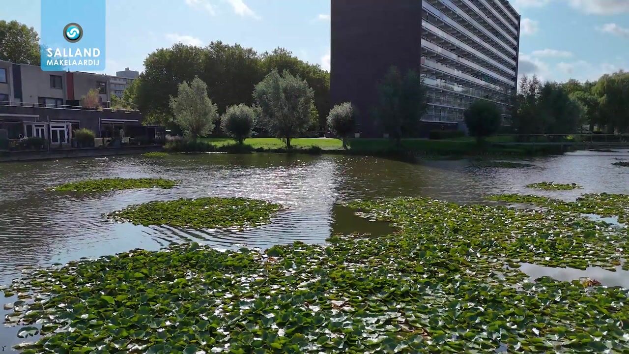 Video van Verhulststraat 98