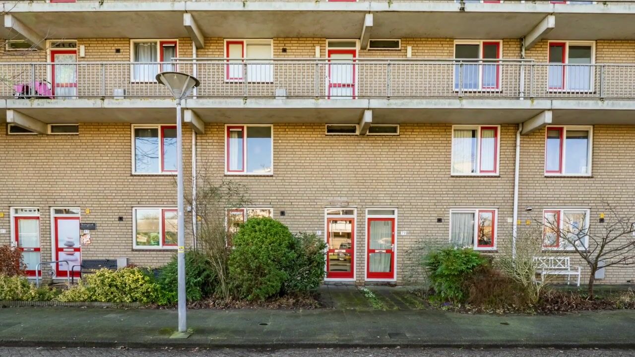 Video of Fivelingo 81