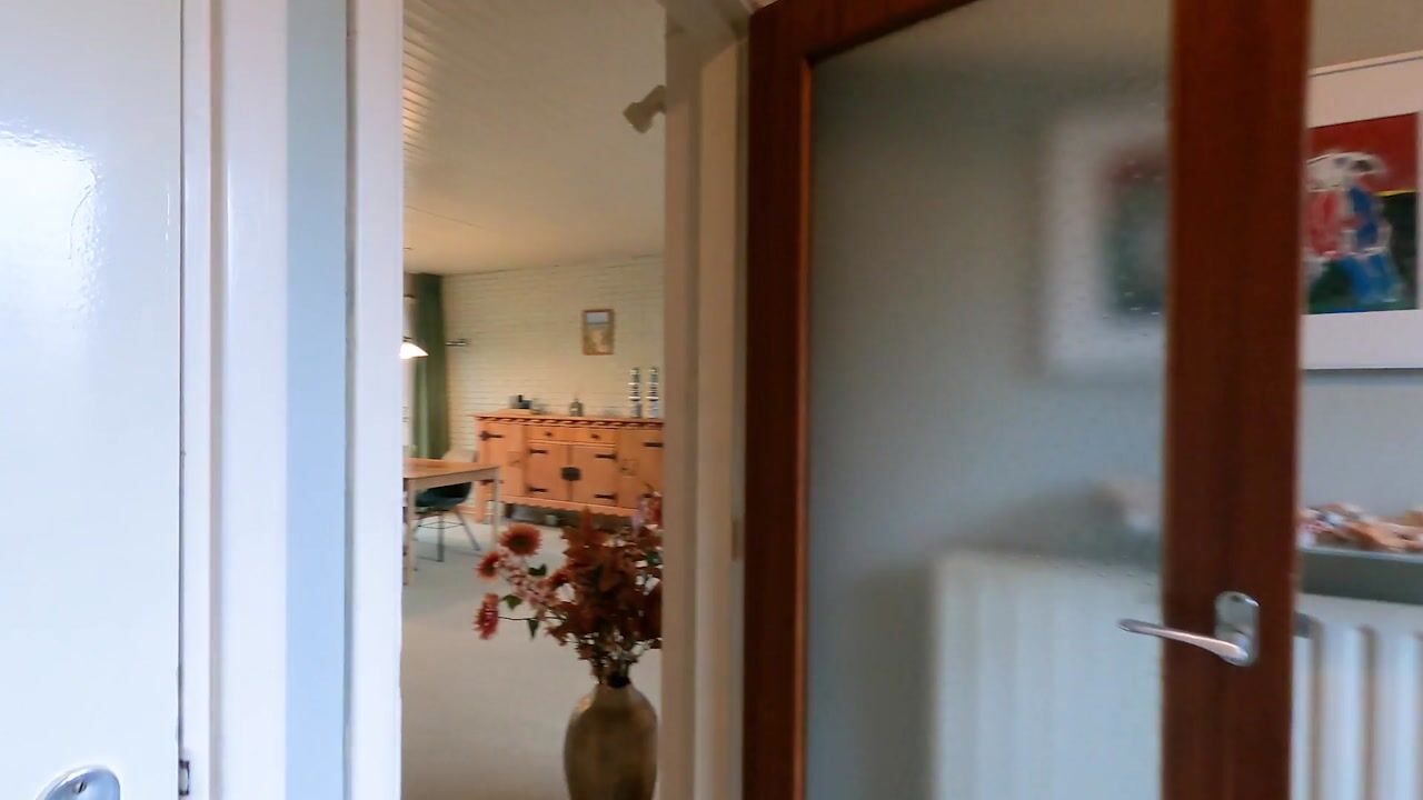 Video van Sytwinde 11