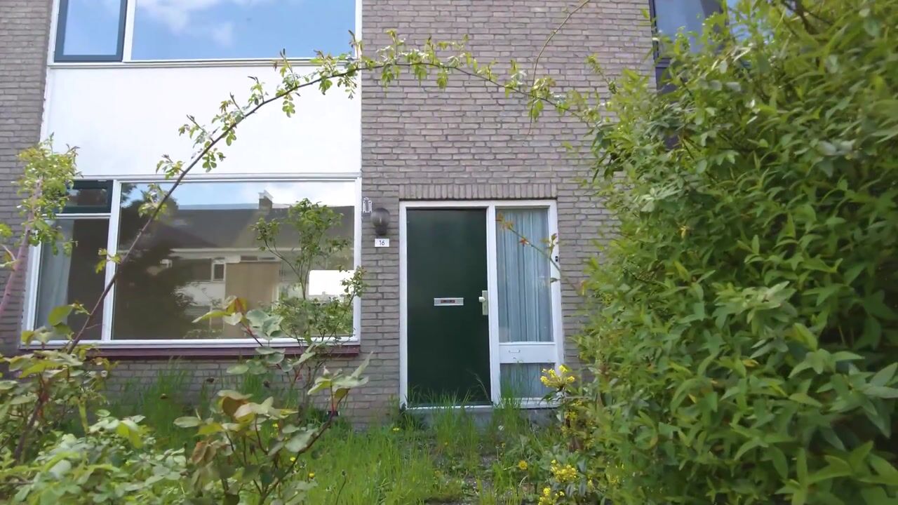Video van Ruigezandplantsoen 16
