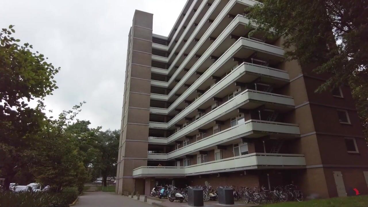 Video van Lisztgaarde 248
