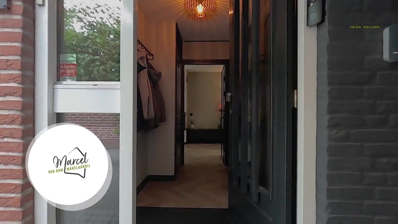Video van Grijze Kraai 46