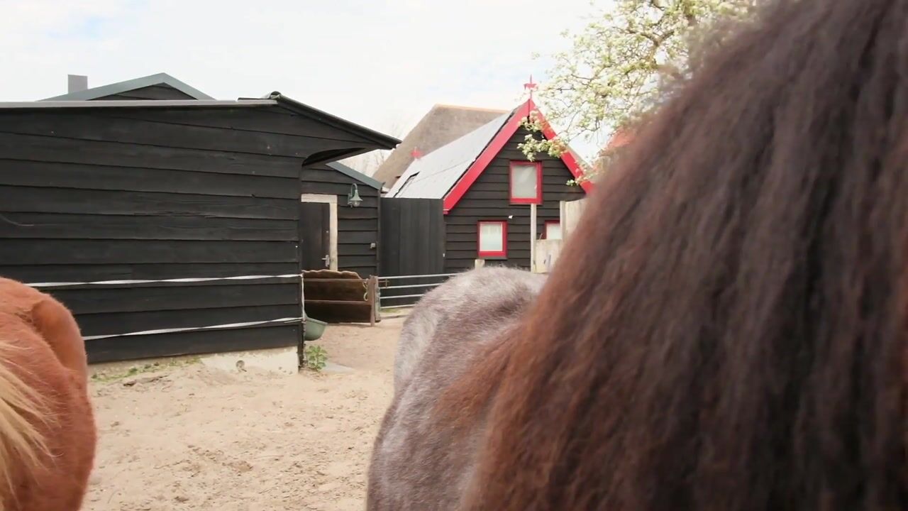 Video van Westfriesedijk 29