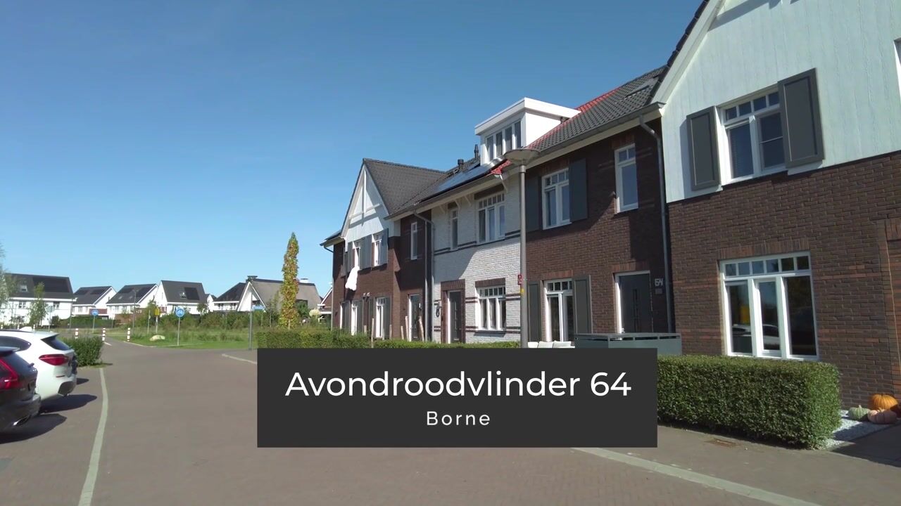 Video van Avondroodvlinder 64