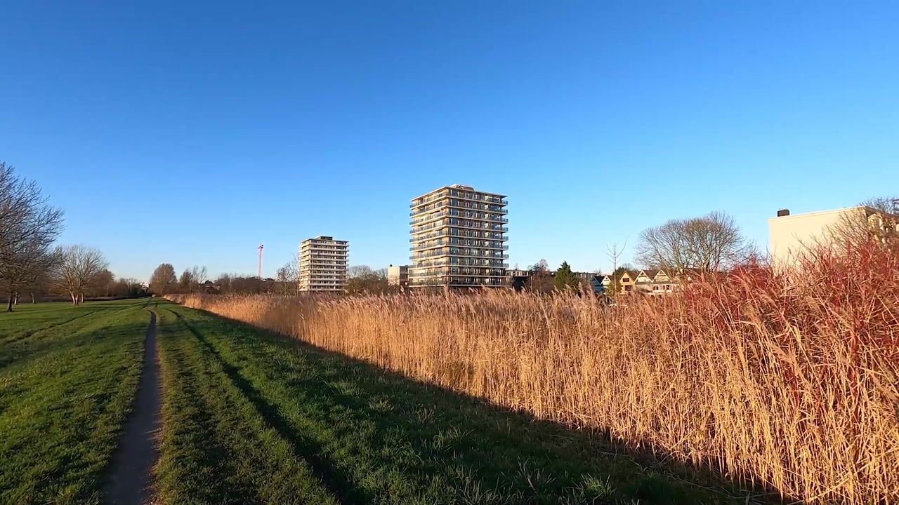 Video van Adriaen Brouwerstraat 90
